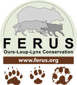 Logo FERUS