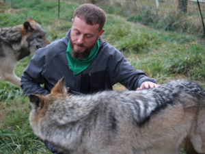 La journée du Loup à la Pyramide du Loup