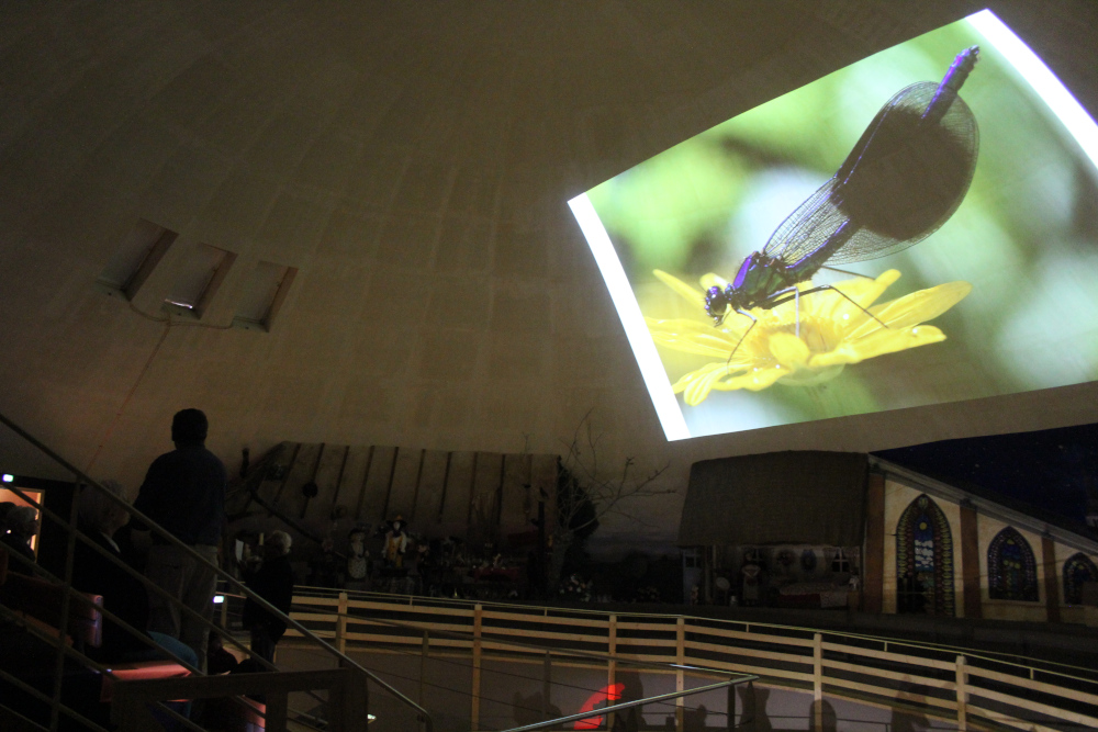 Projection sous le dôme sur la Biodiversité à la Pyramide du Loup