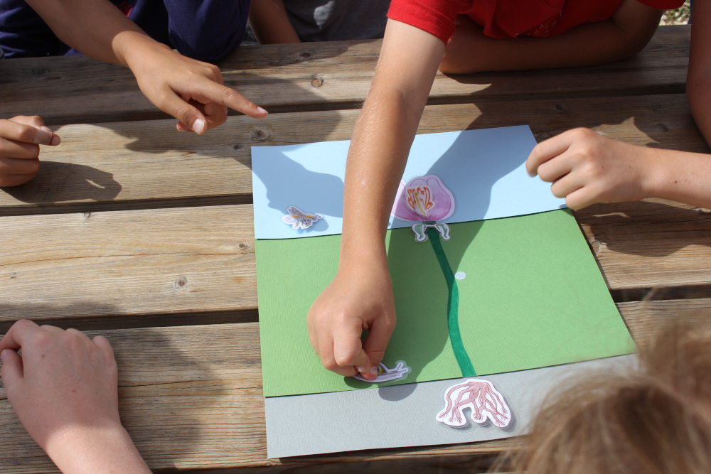 Animation avec les enfants à la Pyramide du Loup