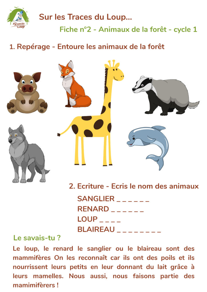 Fiche 2 - Les animaux de la forêt - cycle 1 Pyramide du Loup