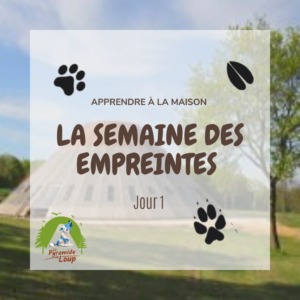 La semaine des empreintes - Pyramide du Loup