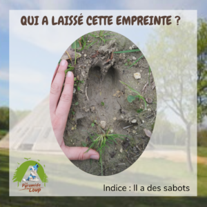 Traces - Fiche pédagogique de la Pyramide du Loup