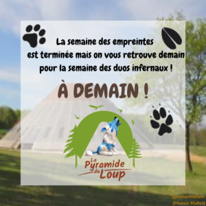 Fiche pédagogique Pyramide du Loup pour enfants4