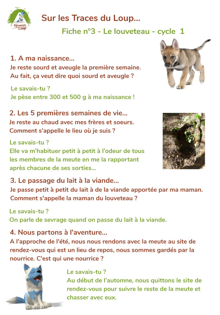 Fiche 3 - Louveteau - Cycle 1