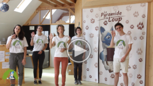 Vidéo Pyramide du Loup