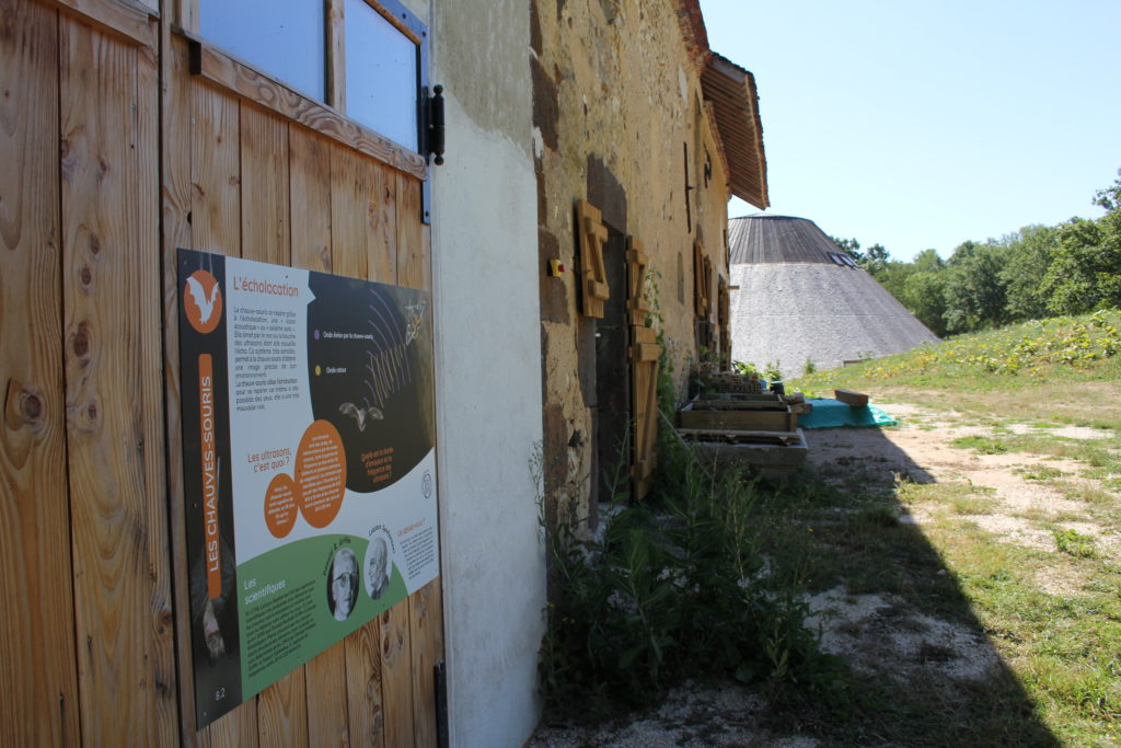 Refuge à chauves-souris à la Pyramide du Loup