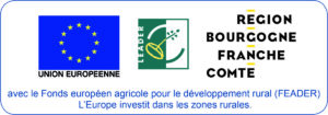 Logo Fond Européen Agricole pour le Développement Rural (FEADER)