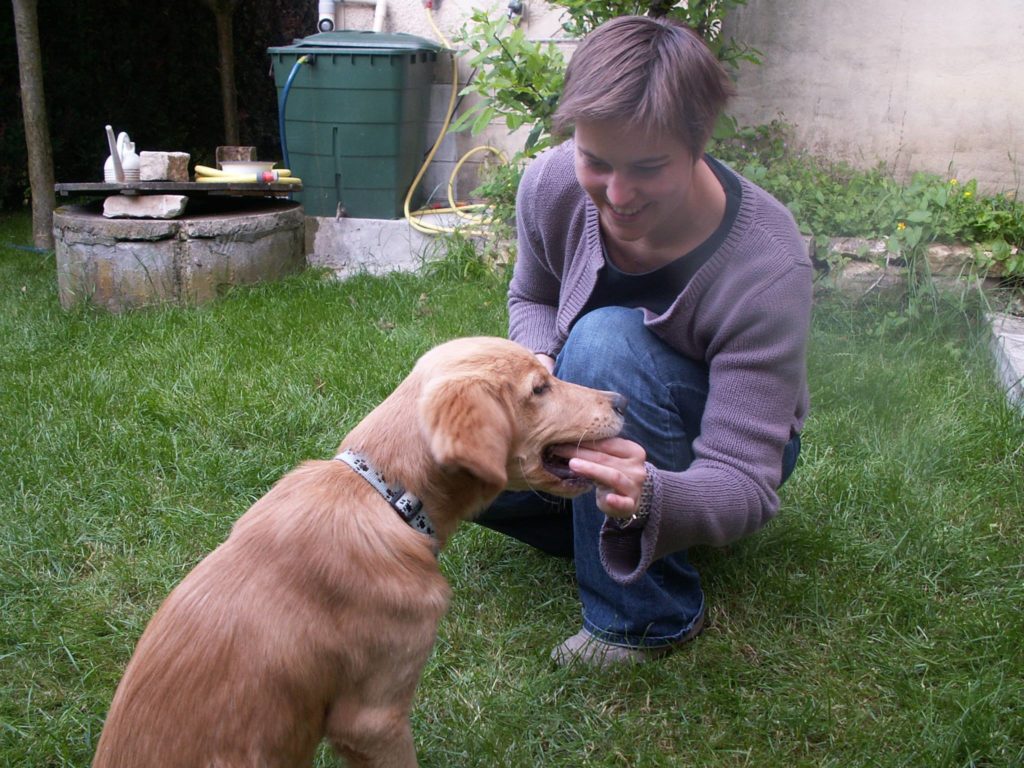 Sandrine Debailleux, comportementaliste chiens/chats