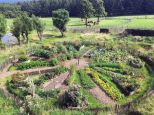 Projet participatif d'un Jardin en Permaculture Pyramide du Loup