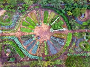 Projet participatif d'un Jardin en Permaculture Pyramide du Loup