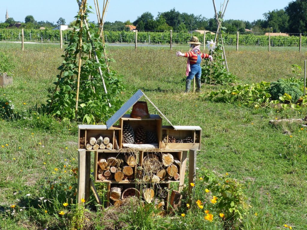 Permaculture Pyramide du Loup