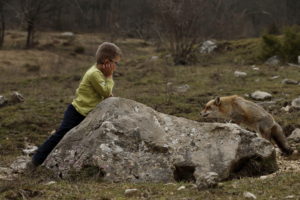 Eliott et les loups Pyramide du Loup