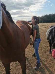 Charline Cabantous, Ostéopathe pour animaux