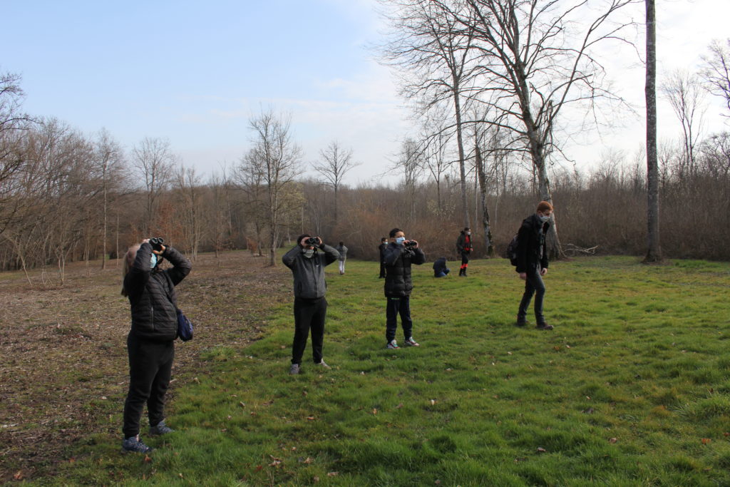 LPO BFC Oiseaux Parc Pyramide du Loup