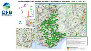 OFB Carte loups France