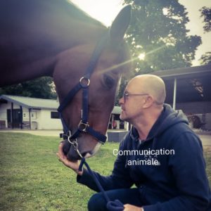 Communication animale