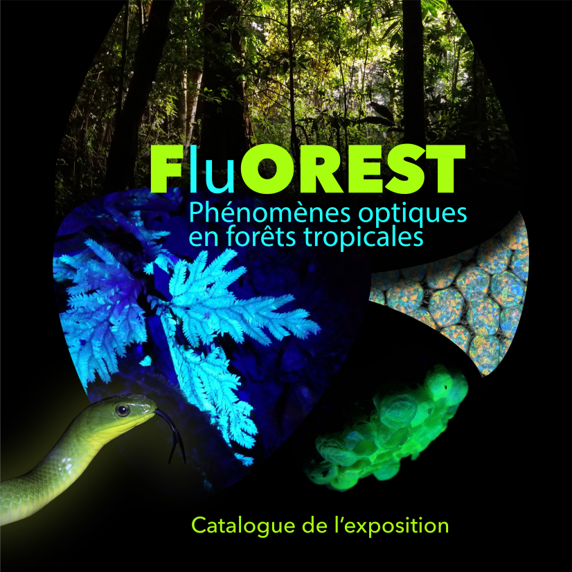 Fluorest - expo sur les forets tropicales à la Pyramide du loup