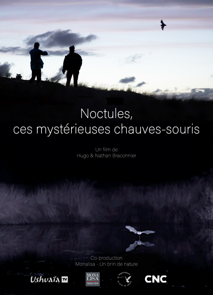 Film sur les noctules à la Pyramide du Loup