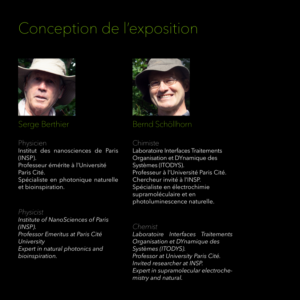 Fluorest - expo sur les forets tropicales à la Pyramide du loup