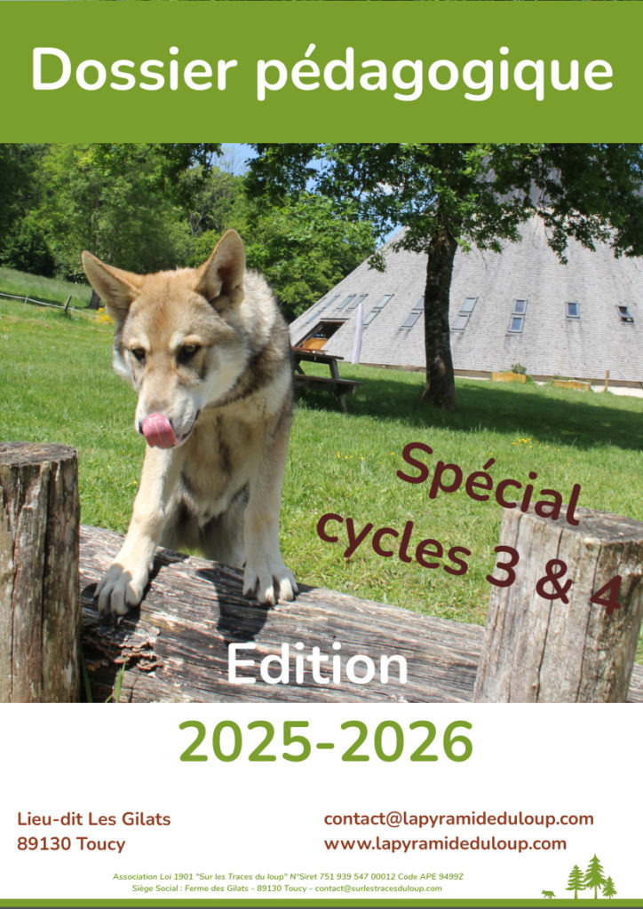 Dossier pédagogique Pyramide du Loup couverture 2026