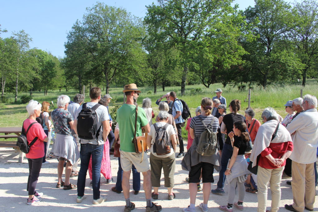 Groupe à la Pyramide du Loup