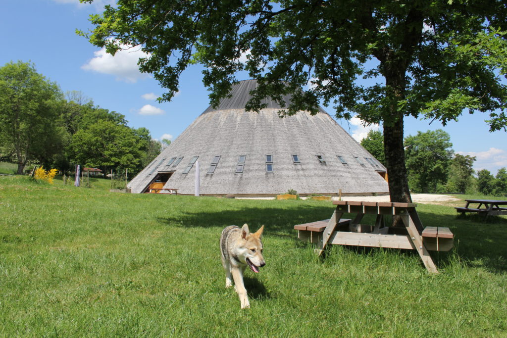 Amarok à la Pyramide du Loup