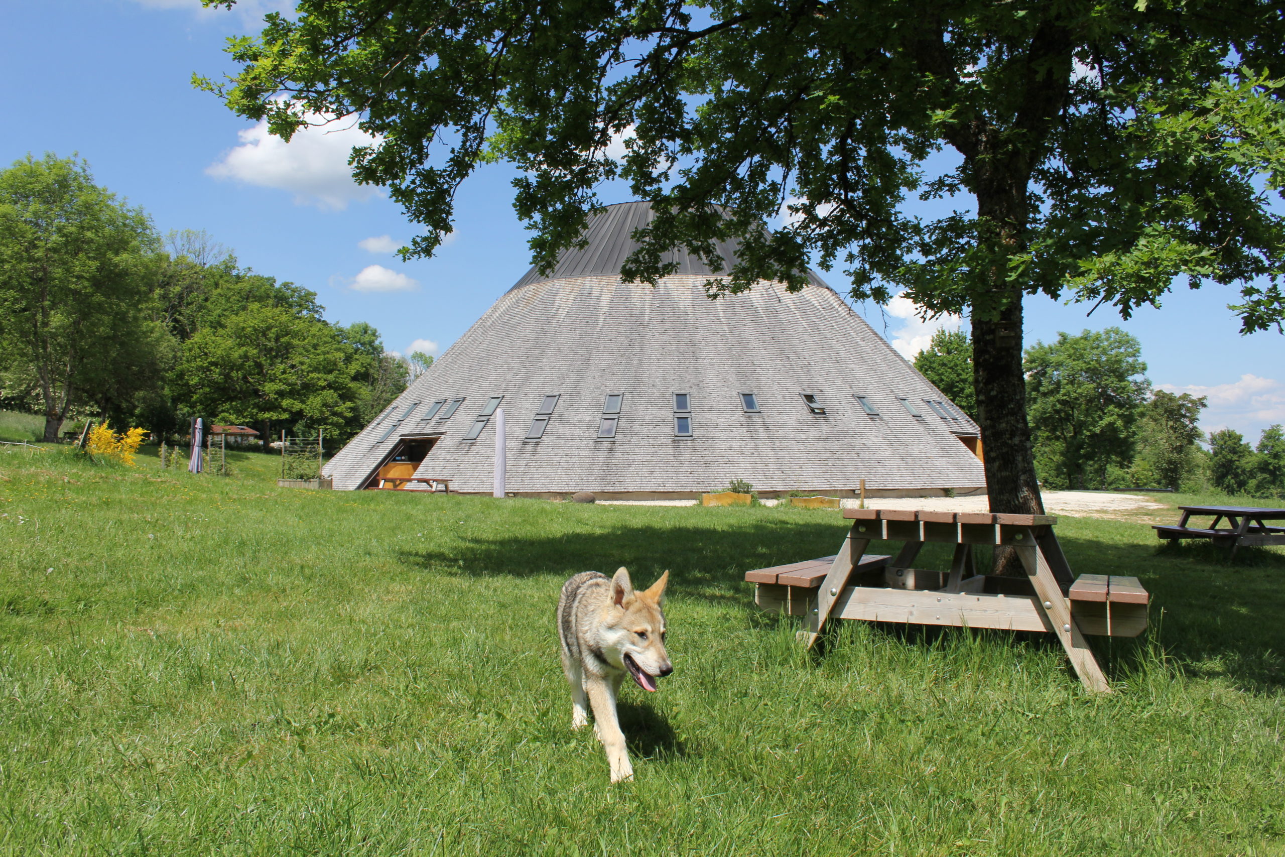 Amarok à la Pyramide du Loup