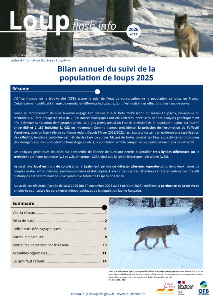 Bulletin loup Flash 23