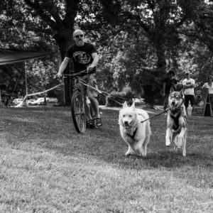 Quentin à la Pyramide du loup avec VTT et huskie en course